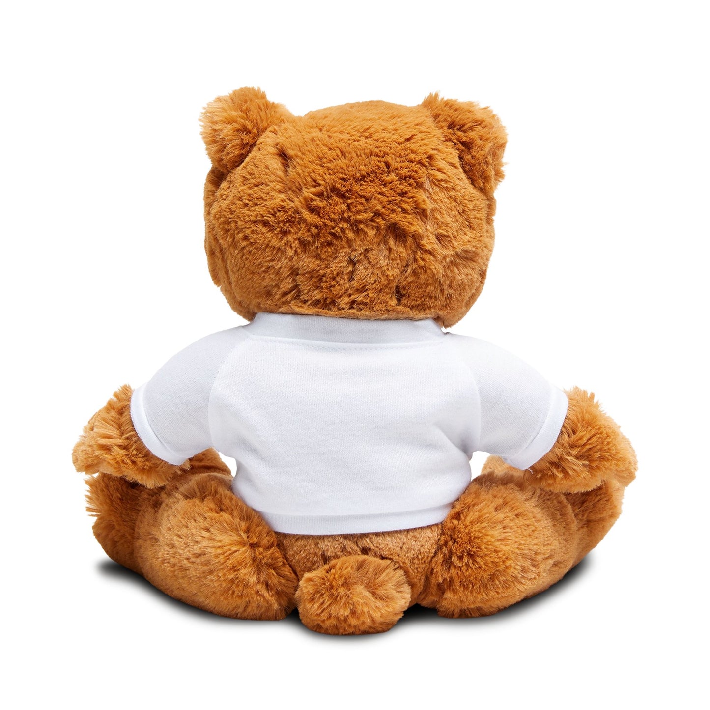 Huggable Teddy Bear (Personalizable)